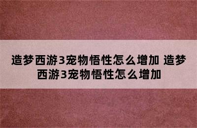 造梦西游3宠物悟性怎么增加 造梦西游3宠物悟性怎么增加